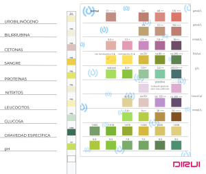 Interpretación de resultados Tiras de orina Dirui H10 /500